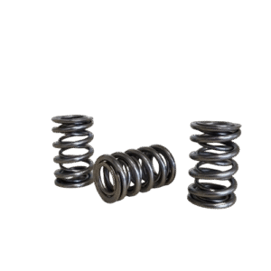 Resorte de válvulas TN